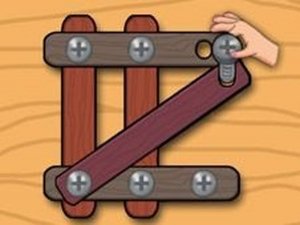 Wood Nuts Puzzle: Brain Teaser